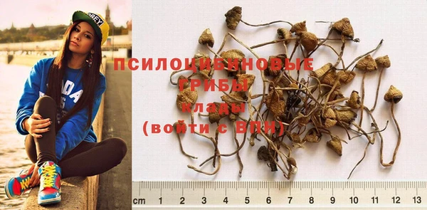 бошки Абдулино