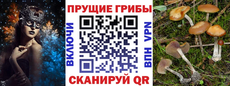 Галлюциногенные грибы ЛСД  закладка  Кочубеевское 